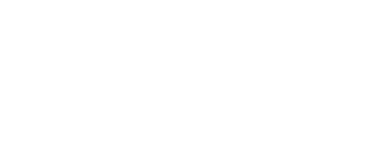 City 40