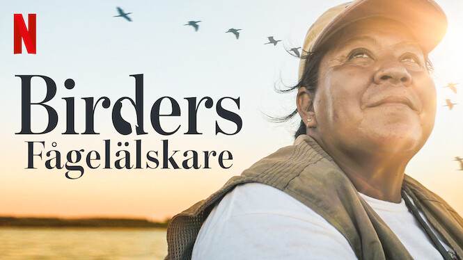 Birders: Fågelälskare