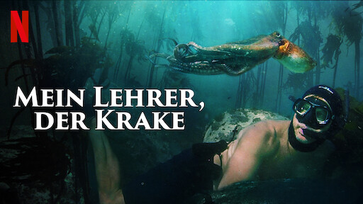 Mein Lehrer, der Krake