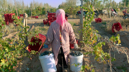 Watch Reign of Terroir. Episode 2 of Season 2.