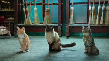 Watch Adventures in Kittysitting. Episode 4 of Season 1.