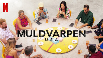 Muldvarpen – USA (2024)