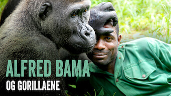 Alfred Bama og gorillaene (2011)