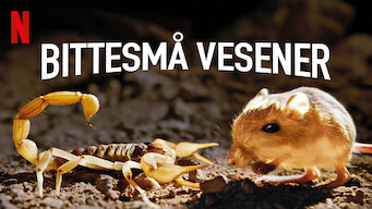 Bittesmå vesener (2020)