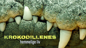 Krokodillenes hemmelige liv (2011)