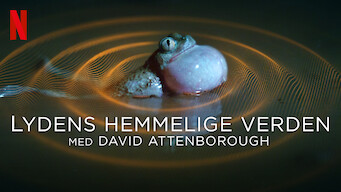 Lydens hemmelige verden med David Attenborough (2024)