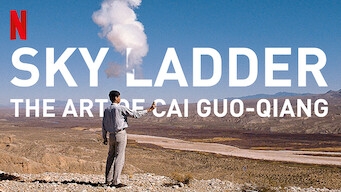 Sky Ladder: Cai Guo-Qiangs kunst (2016)