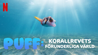 Puff: Korallrevets förunderliga värld (2021)