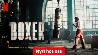 Boxer (2024)