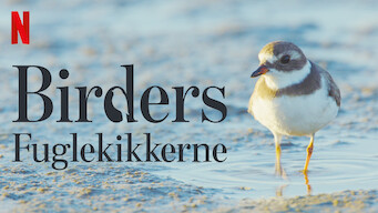 Birders: Fuglekikkerne (2019)