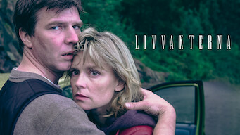 Livvakterna (2001)