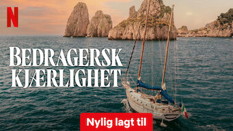 Bedragersk kjærlighet (2024)