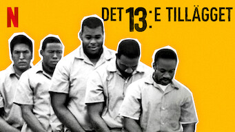 Det 13:e tillägget (2016)