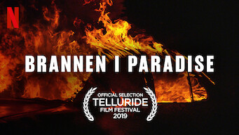 Brannen i Paradise (2019)