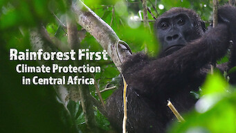 Rainforest First: Climate Protection in Central Africa (2021)