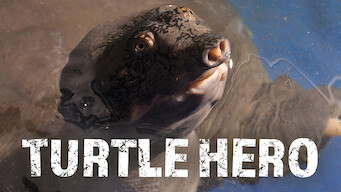 Turtle Hero (2016)