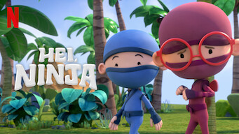 Hei, ninja (2021)