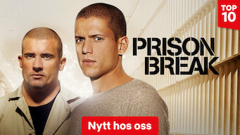 Prison Break (2017)