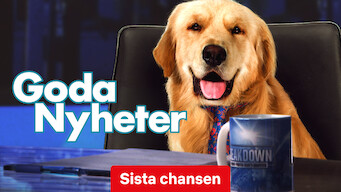 Goda nyheter (2017)