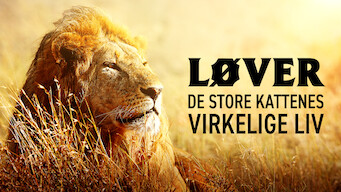 Løver: De store kattenes virkelige liv (2016)