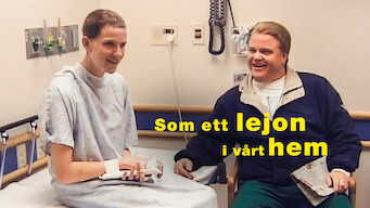 Som ett lejon i vårt hem (2006)