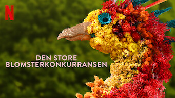 Den store blomsterkonkurransen (2020)