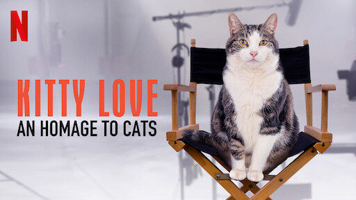 Kitty Love: An Homage to Cats