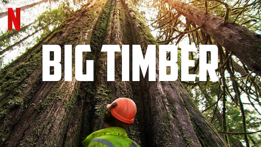 Big Timber